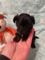 processed/fade7f19-1e8a-48da-86d7-9669ed99c004/listing/51f86ae2-2c98-4ce1-b9ea-38784f1ad160/0e8dd53f-206e-4a66-b95d-a281e31b945d