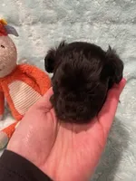 processed/fade7f19-1e8a-48da-86d7-9669ed99c004/listing/51f86ae2-2c98-4ce1-b9ea-38784f1ad160/d04b9e09-bbfe-44b3-bb8d-c853009ffa8a