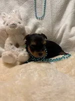 processed/fade7f19-1e8a-48da-86d7-9669ed99c004/listing/90525995-287c-4d73-91dc-4c30615fc60c/7cd1f934-2cc6-4257-beb2-6ccbb58dbe26