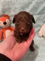 processed/fade7f19-1e8a-48da-86d7-9669ed99c004/listing/b6f9bdc9-7b20-4274-9f23-03628fb75915/594aafda-9e90-4f7f-a6a5-d5691ffc5d34