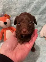 processed/fade7f19-1e8a-48da-86d7-9669ed99c004/listing/b6f9bdc9-7b20-4274-9f23-03628fb75915/5bc72b45-4545-47c1-98cf-dd27460e1c75