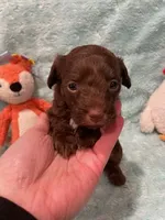 processed/fade7f19-1e8a-48da-86d7-9669ed99c004/listing/b6f9bdc9-7b20-4274-9f23-03628fb75915/e48d9ca3-be50-4009-ba15-828ff5646baf