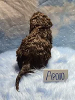 processed/fadee1fc-5f29-4fd8-92fd-aaad97012375/listing/4f9b05cc-ac87-4f45-9621-9bf27f6fa698/35289579-41cd-4637-9ae1-ad6e40c260e2