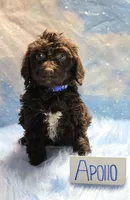 processed/fadee1fc-5f29-4fd8-92fd-aaad97012375/listing/4f9b05cc-ac87-4f45-9621-9bf27f6fa698/e0a19b1d-ee93-400b-91ef-9e5d2f391705