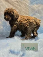 processed/fadee1fc-5f29-4fd8-92fd-aaad97012375/listing/6e85d9bc-9630-4a7b-b84c-df1a80fe9b6b/1cbaec04-7349-4f8c-b2f3-4f1651f29ce2