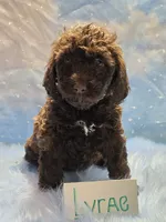 processed/fadee1fc-5f29-4fd8-92fd-aaad97012375/listing/6e85d9bc-9630-4a7b-b84c-df1a80fe9b6b/463254e4-4434-4281-97a4-2845804a6f8c