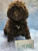 processed/fadee1fc-5f29-4fd8-92fd-aaad97012375/listing/6e85d9bc-9630-4a7b-b84c-df1a80fe9b6b/b00068c6-6954-4243-af24-f28daa32028b