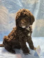 processed/fadee1fc-5f29-4fd8-92fd-aaad97012375/listing/72059317-63a4-435b-b2ac-551ff42e13b8/085e107f-9272-48af-92d5-89a1767ac540