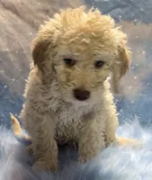 processed/fadee1fc-5f29-4fd8-92fd-aaad97012375/listing/75947cf6-022d-4153-a126-78b9d70b5b3f/3567a0f3-1c94-4b95-9669-1d7b067a0c24