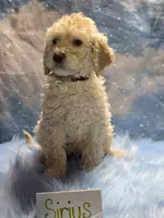 processed/fadee1fc-5f29-4fd8-92fd-aaad97012375/listing/75947cf6-022d-4153-a126-78b9d70b5b3f/7ca479d6-0b00-49d9-924c-a561b9844366