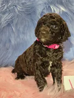 processed/fadee1fc-5f29-4fd8-92fd-aaad97012375/listing/77327433-b76c-4add-a879-fdd8850540b2/2b14dff1-2d7c-4b95-a9e3-10dbcfe6c7a3