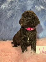 processed/fadee1fc-5f29-4fd8-92fd-aaad97012375/listing/77327433-b76c-4add-a879-fdd8850540b2/a61dece1-054c-4eec-9c1a-7570a7dbde44