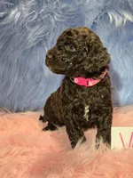 processed/fadee1fc-5f29-4fd8-92fd-aaad97012375/listing/77327433-b76c-4add-a879-fdd8850540b2/dd9a432d-fed4-4f4b-bec2-0327a6a1b181