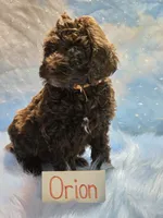 processed/fadee1fc-5f29-4fd8-92fd-aaad97012375/listing/80f209b1-3769-4341-b730-6b839d985599/4b454019-97e6-4b61-9fb3-379f4706a432