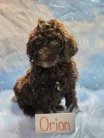 processed/fadee1fc-5f29-4fd8-92fd-aaad97012375/listing/80f209b1-3769-4341-b730-6b839d985599/7960bd6f-99f0-4630-b231-16423128f82d