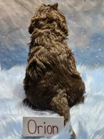 processed/fadee1fc-5f29-4fd8-92fd-aaad97012375/listing/80f209b1-3769-4341-b730-6b839d985599/a3f110b9-05be-41c9-bec1-9c232775814d