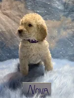 processed/fadee1fc-5f29-4fd8-92fd-aaad97012375/listing/8a21dfdc-d172-4ad7-b9c6-8eeccfec025b/ace14928-e42b-43a3-9e6b-3b1d8f35c0ff