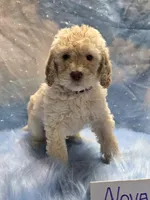 processed/fadee1fc-5f29-4fd8-92fd-aaad97012375/listing/8a21dfdc-d172-4ad7-b9c6-8eeccfec025b/faa86f32-45b7-41aa-a0d7-80e87b59e98d