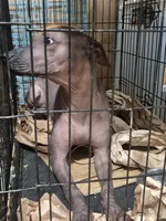 processed/faf10895-426e-40ca-9649-334f723adcc2/listing/22ec1155-a43b-4c7f-8dfd-bfd284e3c2c1/09336bc5-7868-4e07-9050-b92b2f576045