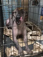 processed/faf10895-426e-40ca-9649-334f723adcc2/listing/22ec1155-a43b-4c7f-8dfd-bfd284e3c2c1/41096719-2801-4e48-ad57-39c7fe75ed68