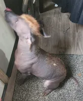 processed/faf10895-426e-40ca-9649-334f723adcc2/listing/22ec1155-a43b-4c7f-8dfd-bfd284e3c2c1/91c9e50f-e316-4a6f-8082-353c9b4b884d