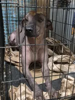 processed/faf10895-426e-40ca-9649-334f723adcc2/listing/22ec1155-a43b-4c7f-8dfd-bfd284e3c2c1/b782de65-097e-4a1c-9665-329f0ab0bd46