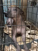 processed/faf10895-426e-40ca-9649-334f723adcc2/listing/22ec1155-a43b-4c7f-8dfd-bfd284e3c2c1/b80f3337-bcf6-4d4d-8742-f823273ef632