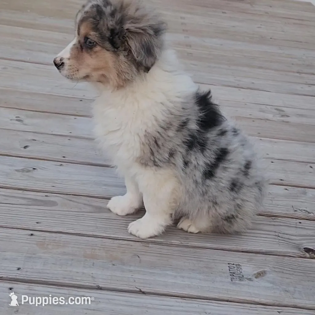 processed/fafba3a0-56d5-4755-8bdc-559fccb43d88/listing/188279d3-c27d-4a1f-af70-27f336d1fb0e/243d50d0-7e48-4b4e-bdb9-78358c1cac0c