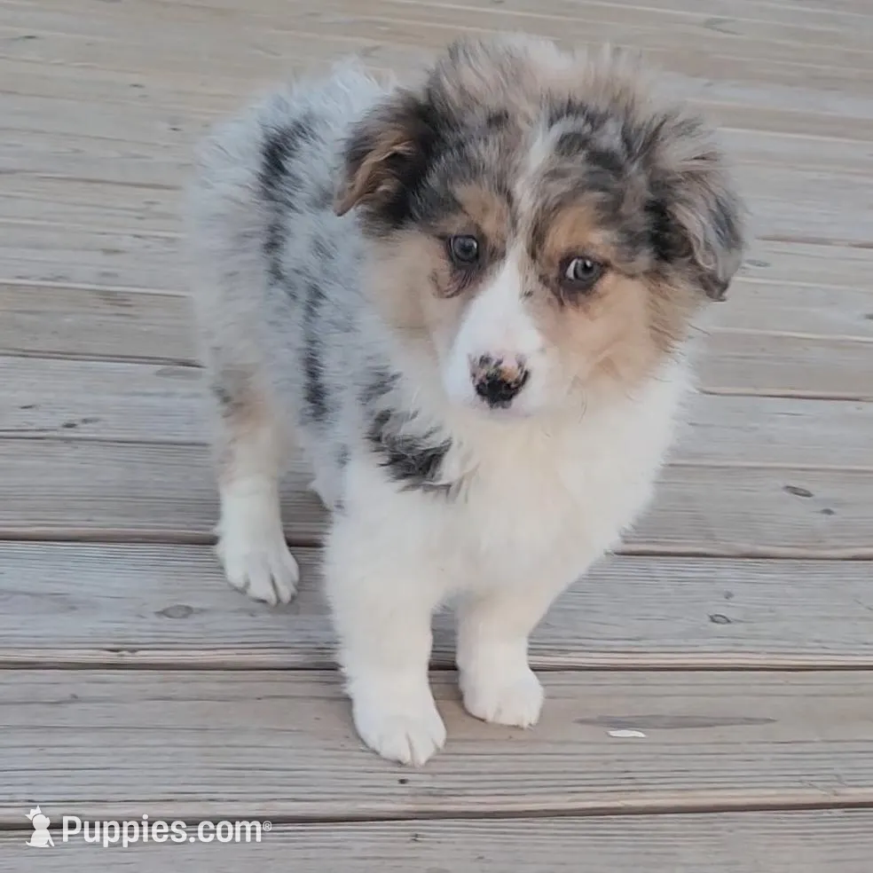 processed/fafba3a0-56d5-4755-8bdc-559fccb43d88/listing/188279d3-c27d-4a1f-af70-27f336d1fb0e/3f8319a6-2a90-43d9-8d66-13d9ce5beeda