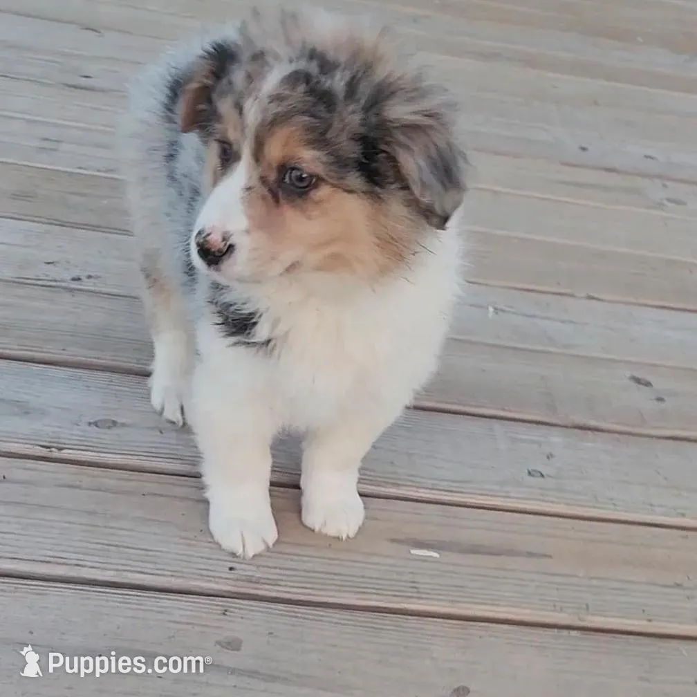 processed/fafba3a0-56d5-4755-8bdc-559fccb43d88/listing/188279d3-c27d-4a1f-af70-27f336d1fb0e/b0c37d3f-3ede-4c77-b123-38c176d1135e