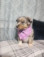 processed/fafba3a0-56d5-4755-8bdc-559fccb43d88/listing/18a50ec0-b59c-4dee-8d72-213704503b3f/a39cfbce-e533-4192-a70a-03c6679833f2