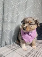 processed/fafba3a0-56d5-4755-8bdc-559fccb43d88/listing/18a50ec0-b59c-4dee-8d72-213704503b3f/e5367134-d8fe-4f3e-928b-ef7f08a69611