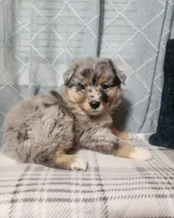 processed/fafba3a0-56d5-4755-8bdc-559fccb43d88/listing/1e5b0a0f-1a5e-4769-8bcf-908d4ac69334/4e3852bc-2efc-445f-8396-bcae006aa0f2