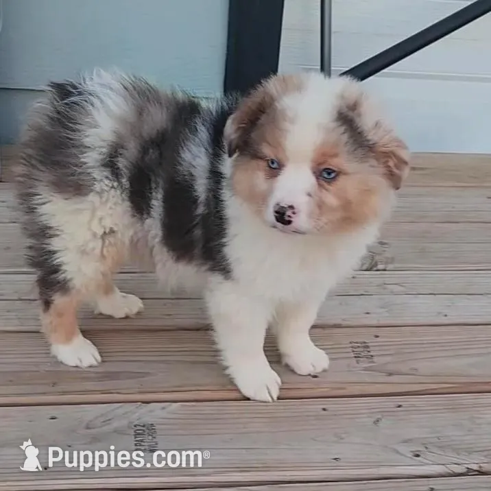 processed/fafba3a0-56d5-4755-8bdc-559fccb43d88/listing/54cff3b4-6fb1-4d91-8cb8-d45cc18c2e90/2f752b6c-700f-4eb1-a872-209a2f089c3e