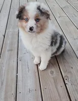 processed/fafba3a0-56d5-4755-8bdc-559fccb43d88/listing/54cff3b4-6fb1-4d91-8cb8-d45cc18c2e90/44fb7992-aba3-43e4-9b3b-d7c7a6aae944