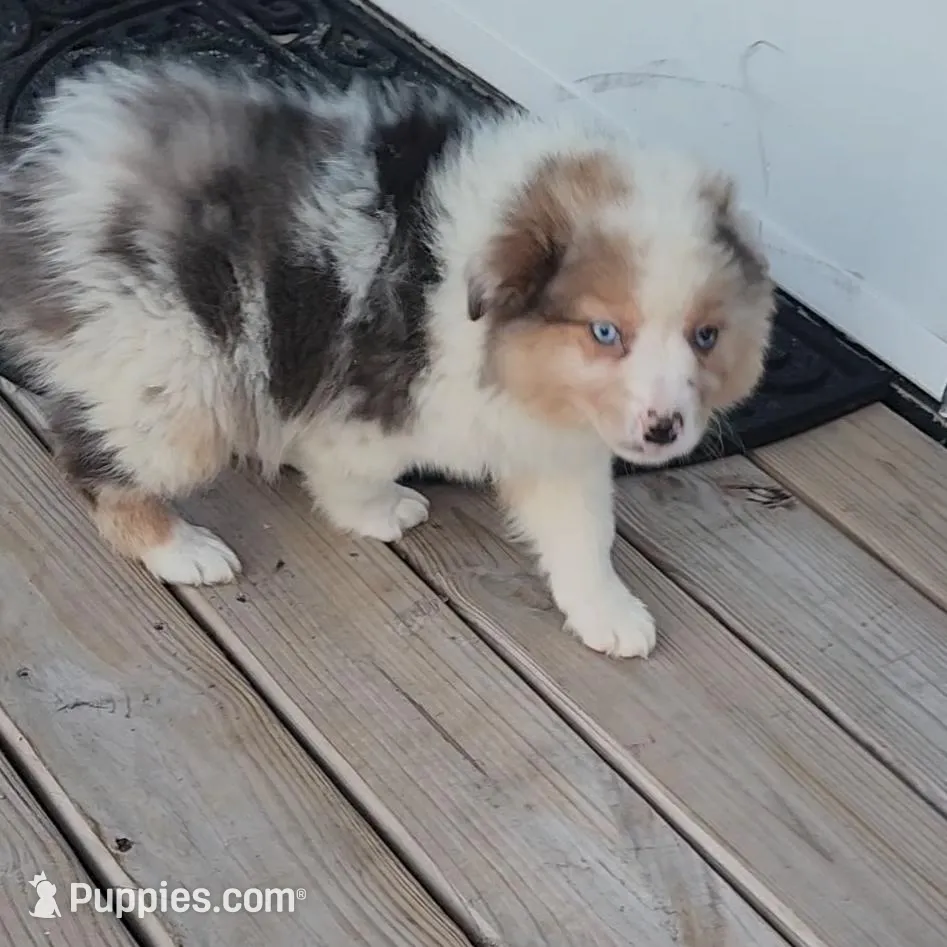 processed/fafba3a0-56d5-4755-8bdc-559fccb43d88/listing/54cff3b4-6fb1-4d91-8cb8-d45cc18c2e90/a7d1ca9e-5af0-4be4-94fc-4f0482420c13