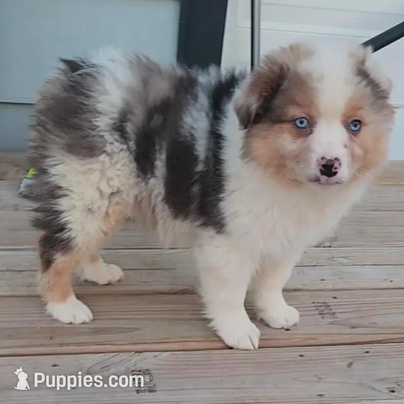 processed/fafba3a0-56d5-4755-8bdc-559fccb43d88/listing/54cff3b4-6fb1-4d91-8cb8-d45cc18c2e90/e1fdfe16-a5fa-4759-9c79-752dba8f9bcb