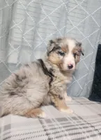 processed/fafba3a0-56d5-4755-8bdc-559fccb43d88/listing/66a7d6d7-eafe-4f2d-ae1a-e23691e250d2/4746af2d-0ae5-4a9b-be64-ff0aa48cfe85