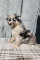 processed/fafba3a0-56d5-4755-8bdc-559fccb43d88/listing/a2b66454-207a-4377-9339-559d3489de6f/4e91fd8a-47d6-4bdb-b5fa-4ab9c440de10