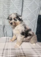 processed/fafba3a0-56d5-4755-8bdc-559fccb43d88/listing/a2b66454-207a-4377-9339-559d3489de6f/66b0cd49-39ef-4f14-857f-fb3ce3ff2537