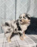 processed/fafba3a0-56d5-4755-8bdc-559fccb43d88/listing/a2b66454-207a-4377-9339-559d3489de6f/6858664c-c293-4c15-b6ed-4ca6075d5e8e