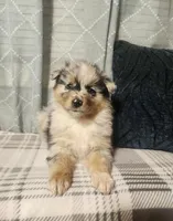 processed/fafba3a0-56d5-4755-8bdc-559fccb43d88/listing/a2b66454-207a-4377-9339-559d3489de6f/76d901b3-3a59-4640-aff7-411d4100c174