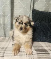 processed/fafba3a0-56d5-4755-8bdc-559fccb43d88/listing/a2b66454-207a-4377-9339-559d3489de6f/d2834fa4-5794-46dd-98ec-9b39d8c1c3d1