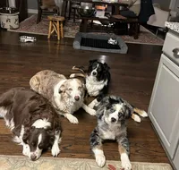 processed/fb03cae3-571d-4859-97a9-1cf9ffbc5d5d/facility/0f0691ea-1738-42ce-b49f-20a6184bf1ec