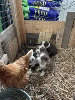 processed/fb03cae3-571d-4859-97a9-1cf9ffbc5d5d/facility/2e459e40-21cc-40b3-93e6-b17686e2ea23