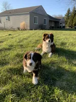 processed/fb03cae3-571d-4859-97a9-1cf9ffbc5d5d/facility/447737b4-70ce-4210-9586-841a914f1dbf