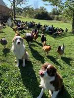 processed/fb03cae3-571d-4859-97a9-1cf9ffbc5d5d/facility/6e153c20-1b74-415a-a03c-f7375e940a82