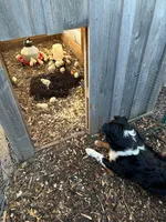 processed/fb03cae3-571d-4859-97a9-1cf9ffbc5d5d/facility/c3eee28b-b8da-4017-aaa3-6ff3a262691f