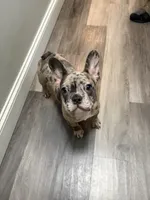 processed/fb0600b2-e9a5-47f8-9f51-5af2daf00d5a/listing/18a9af4f-9c32-44b8-ab32-5921ae869766/3bb71f24-a4c5-4cb2-832d-fe78394a5a63