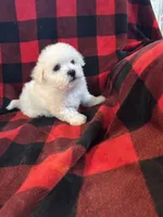 processed/fb07f53f-ab13-4c64-aabb-6380853460af/listing/40b59b84-9eb7-4746-a448-4cc8226552dd/1834be3a-68e7-4955-a3ac-02584f27ca9f